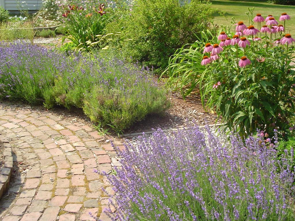 Stephen Clay Homestead Bed And Breakfast Candia Exterior foto